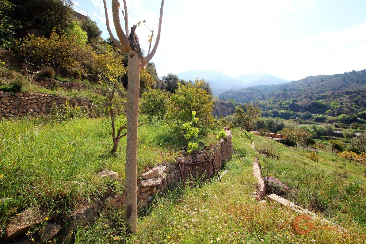 For sale of land in Vélez de Benaudalla