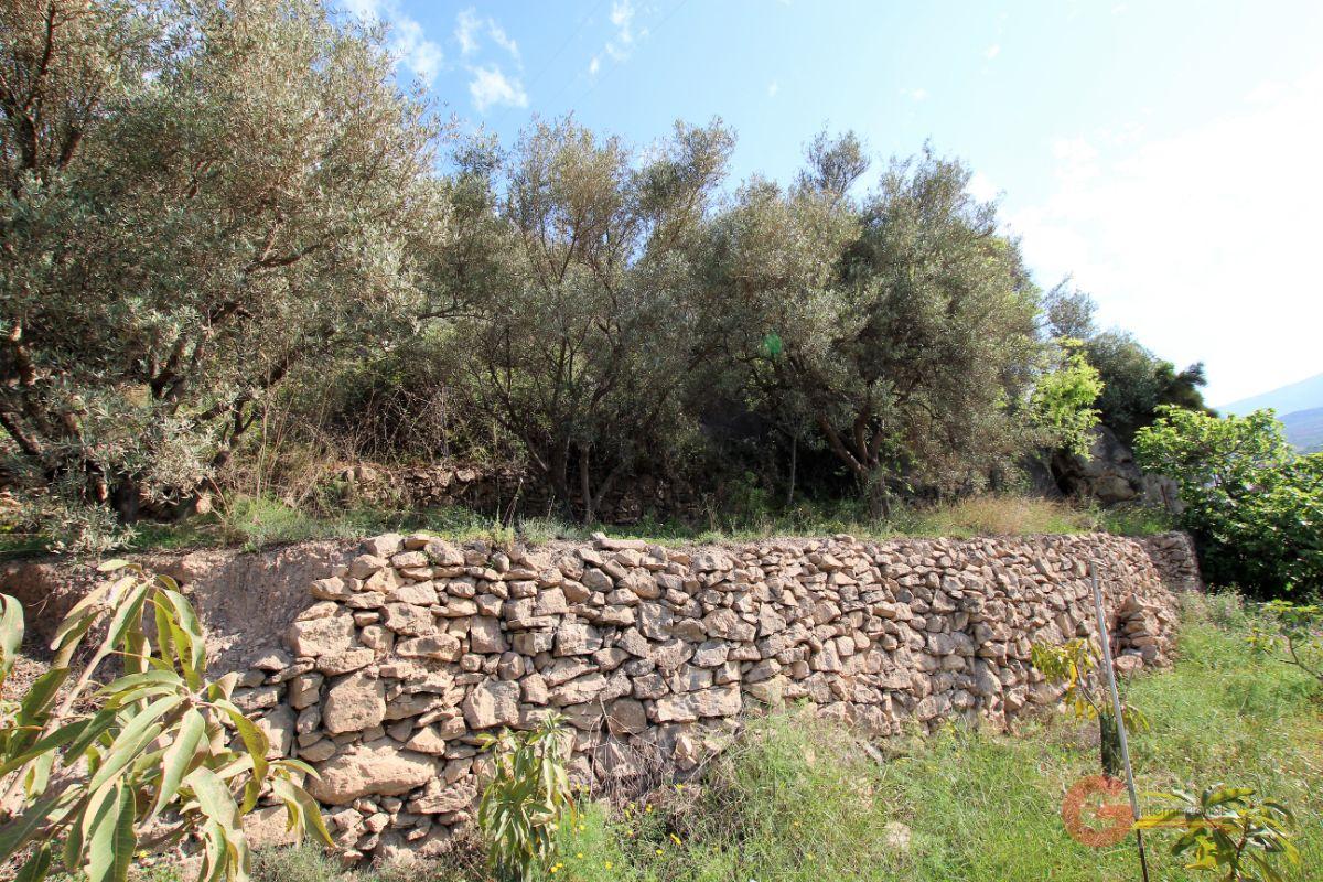 For sale of land in Vélez de Benaudalla