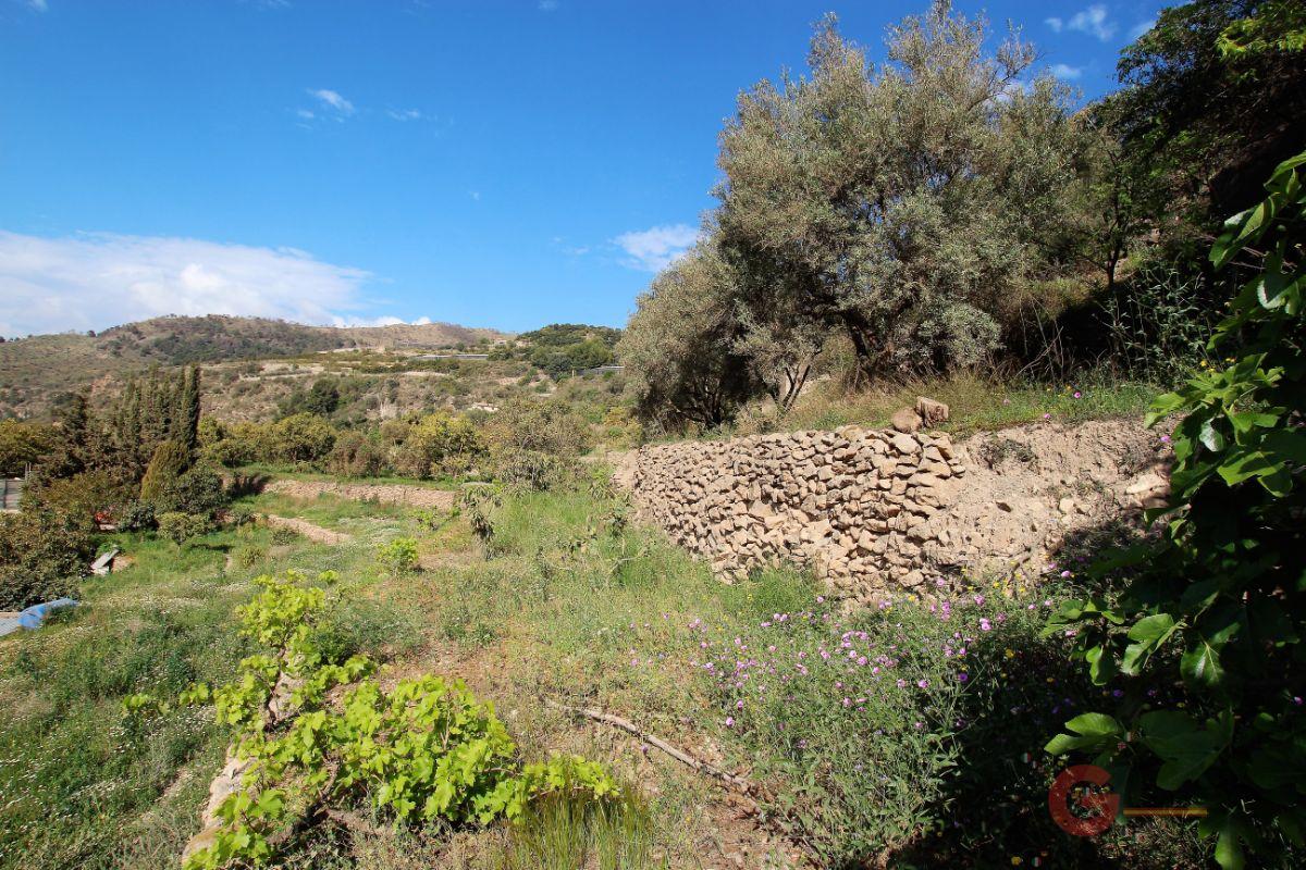 For sale of land in Vélez de Benaudalla