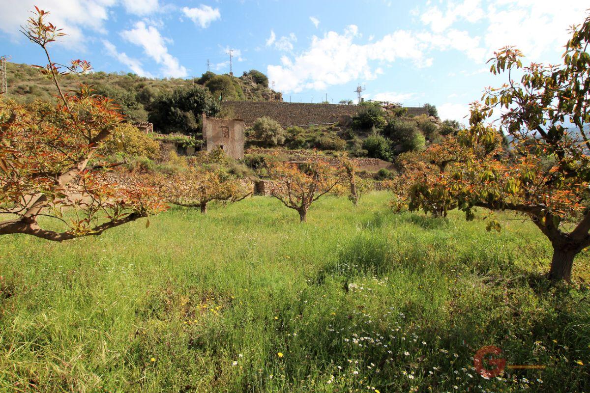 For sale of land in Vélez de Benaudalla