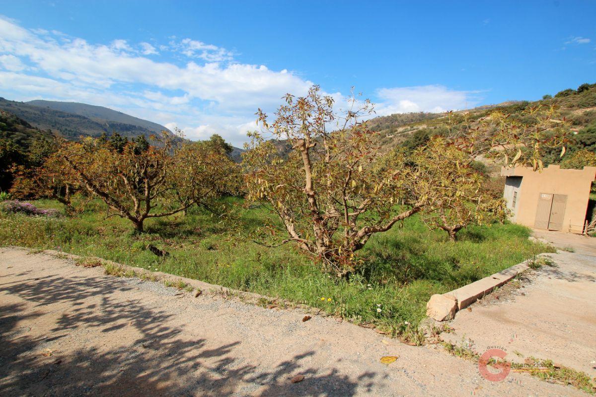 Vendita di terreno in Vélez de Benaudalla