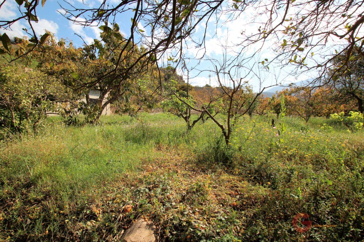 For sale of land in Vélez de Benaudalla