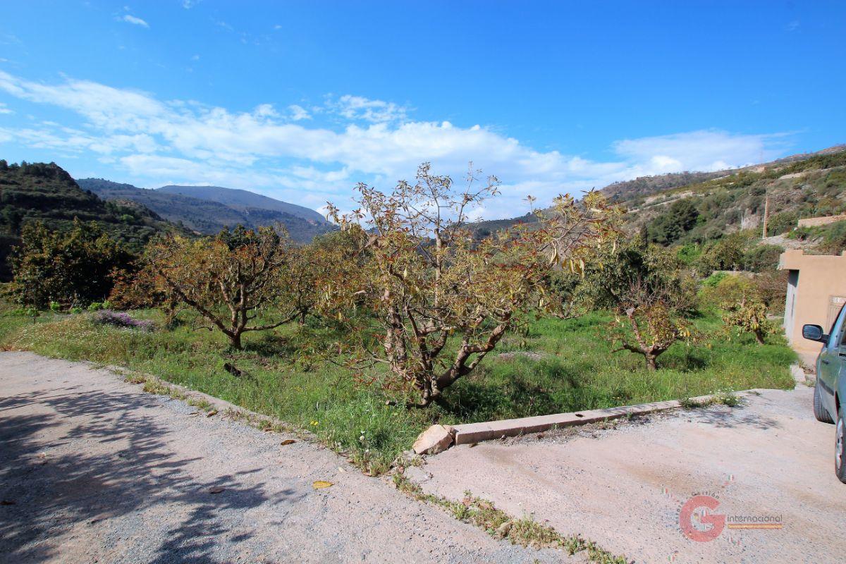 Vendita di terreno in Vélez de Benaudalla