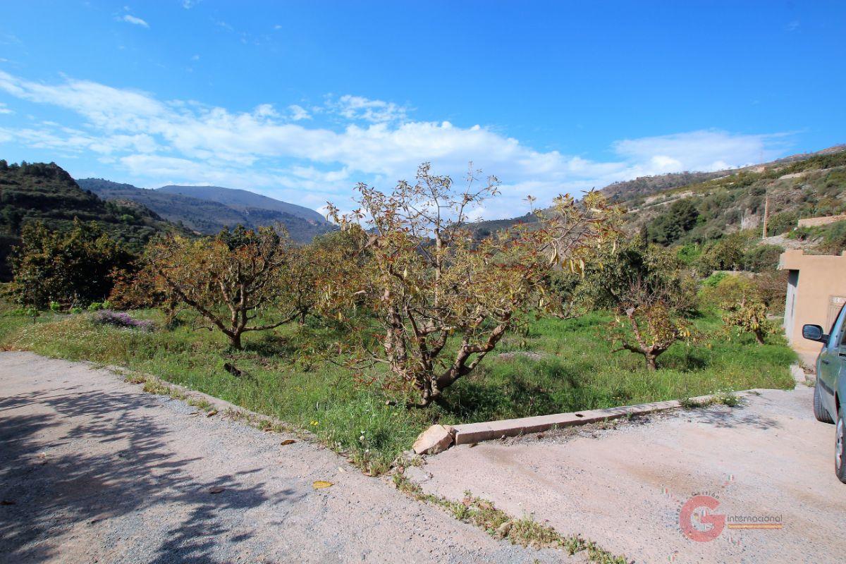 For sale of land in Vélez de Benaudalla