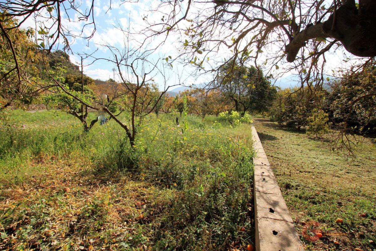 Vendita di terreno in Vélez de Benaudalla