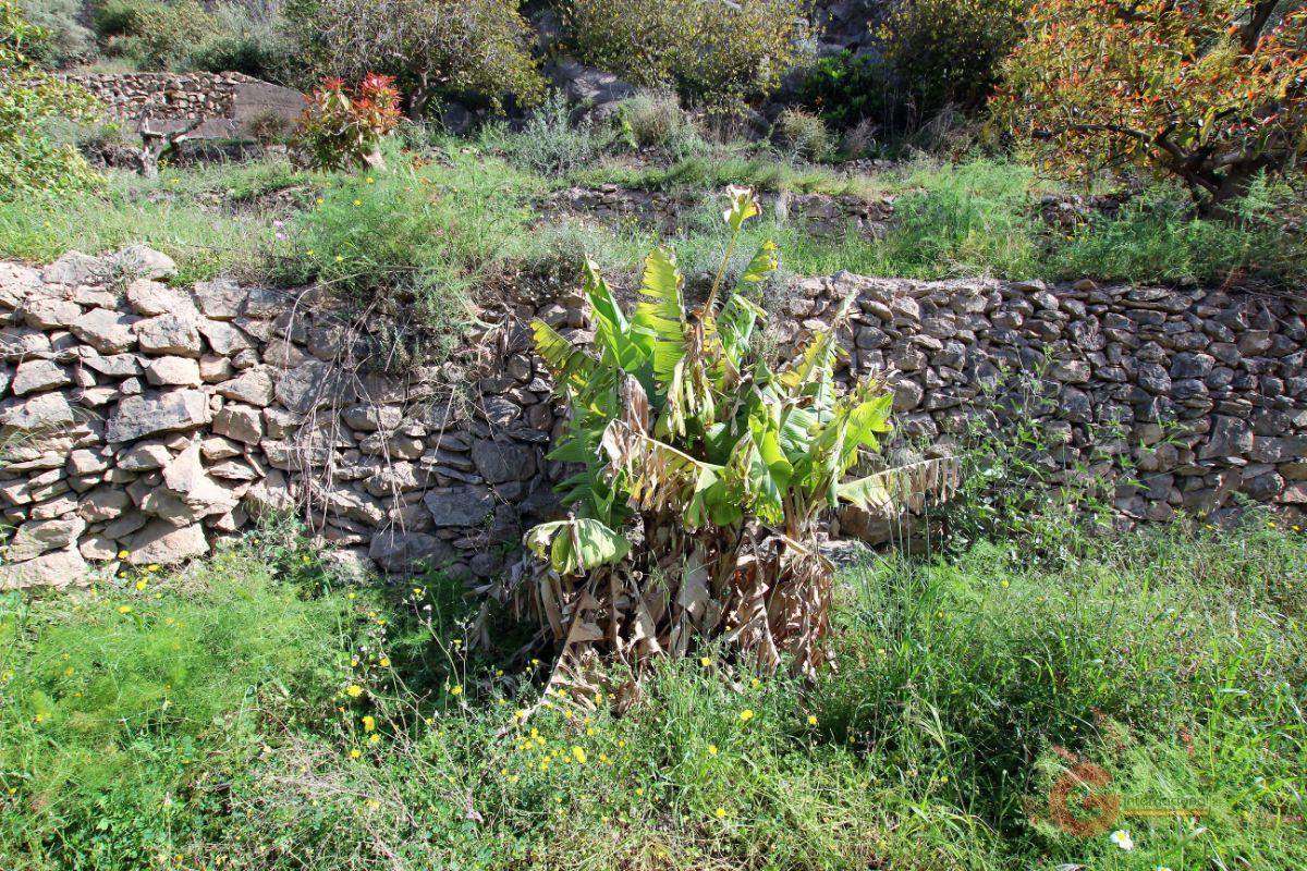 For sale of land in Vélez de Benaudalla