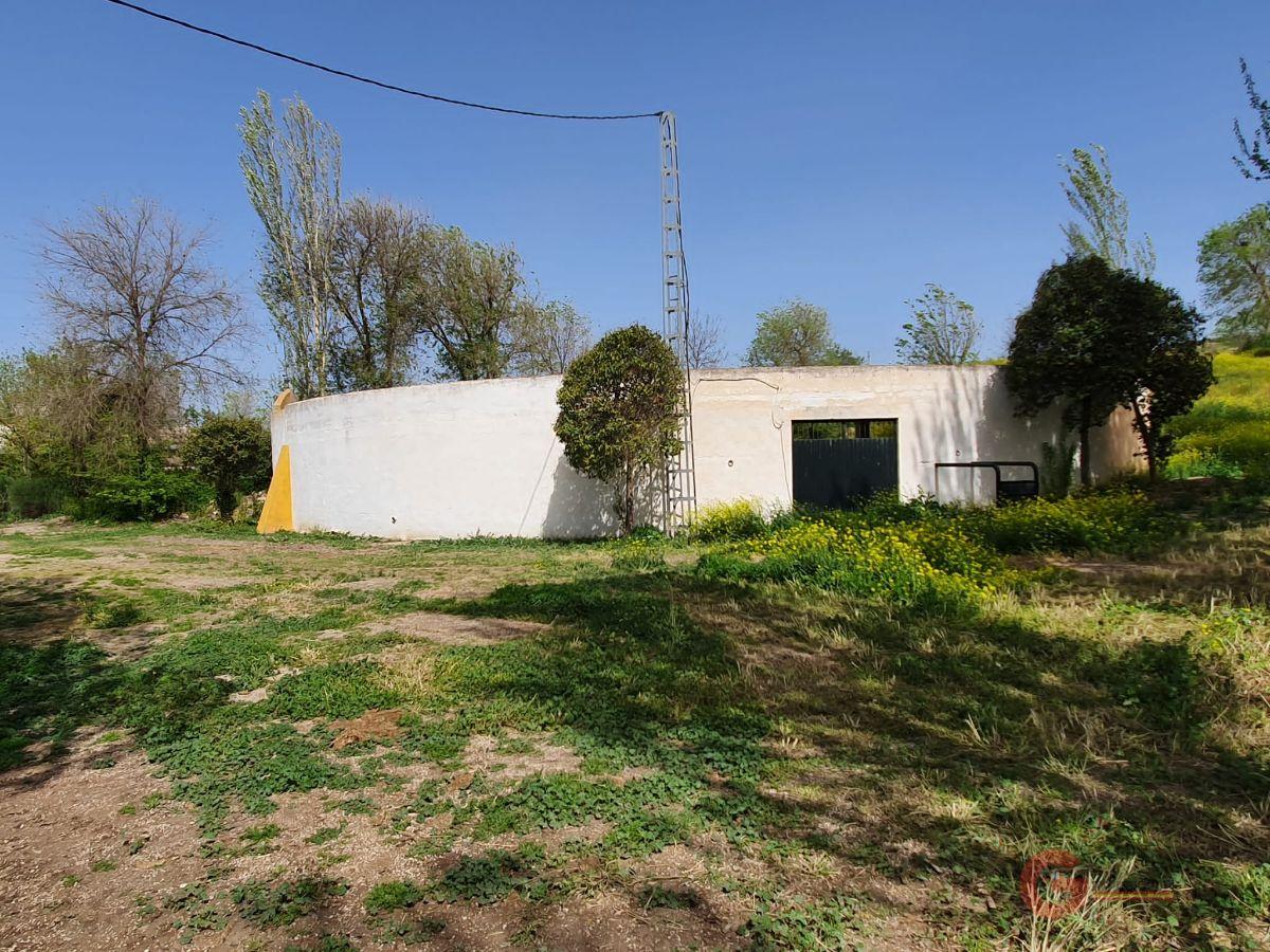 For sale of rural property in Iznalloz