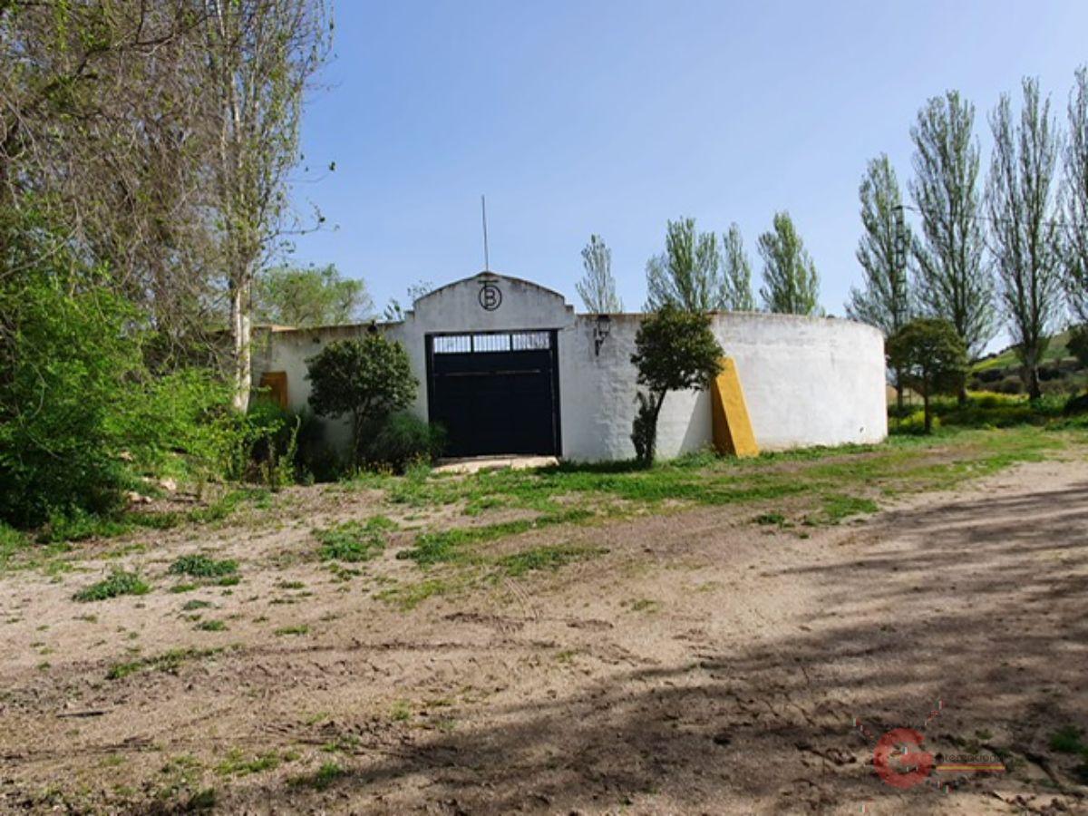 For sale of rural property in Iznalloz