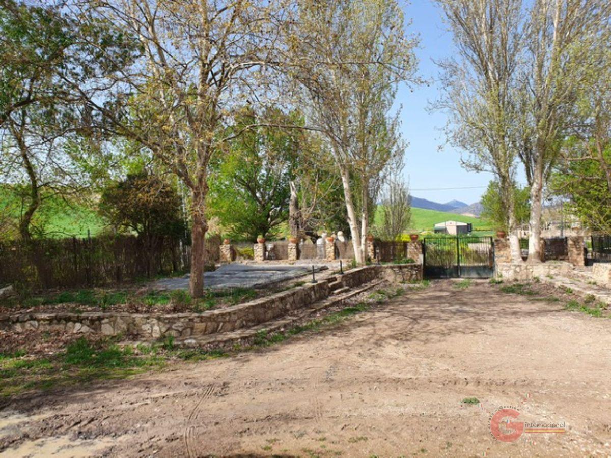 Venta de finca rústica en Iznalloz