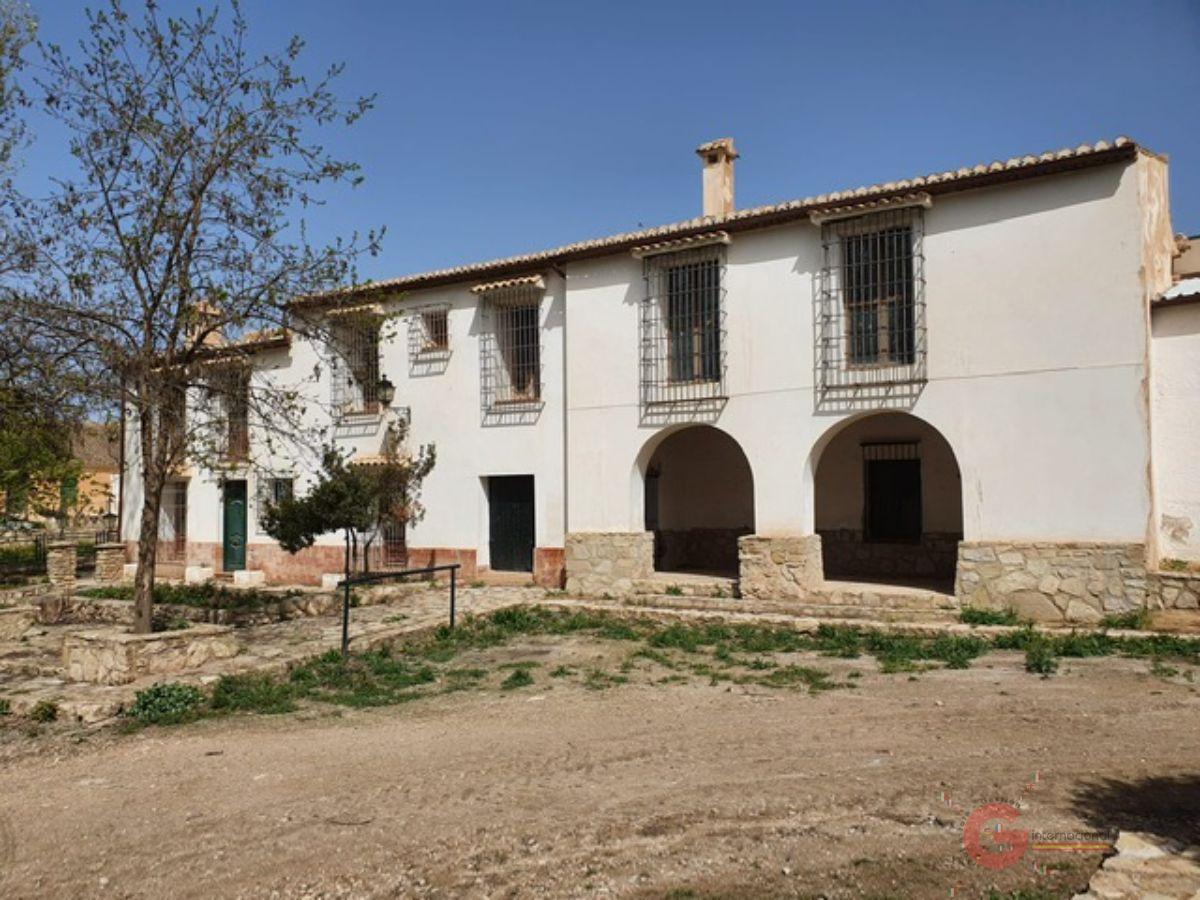 Venta de finca rústica en Iznalloz