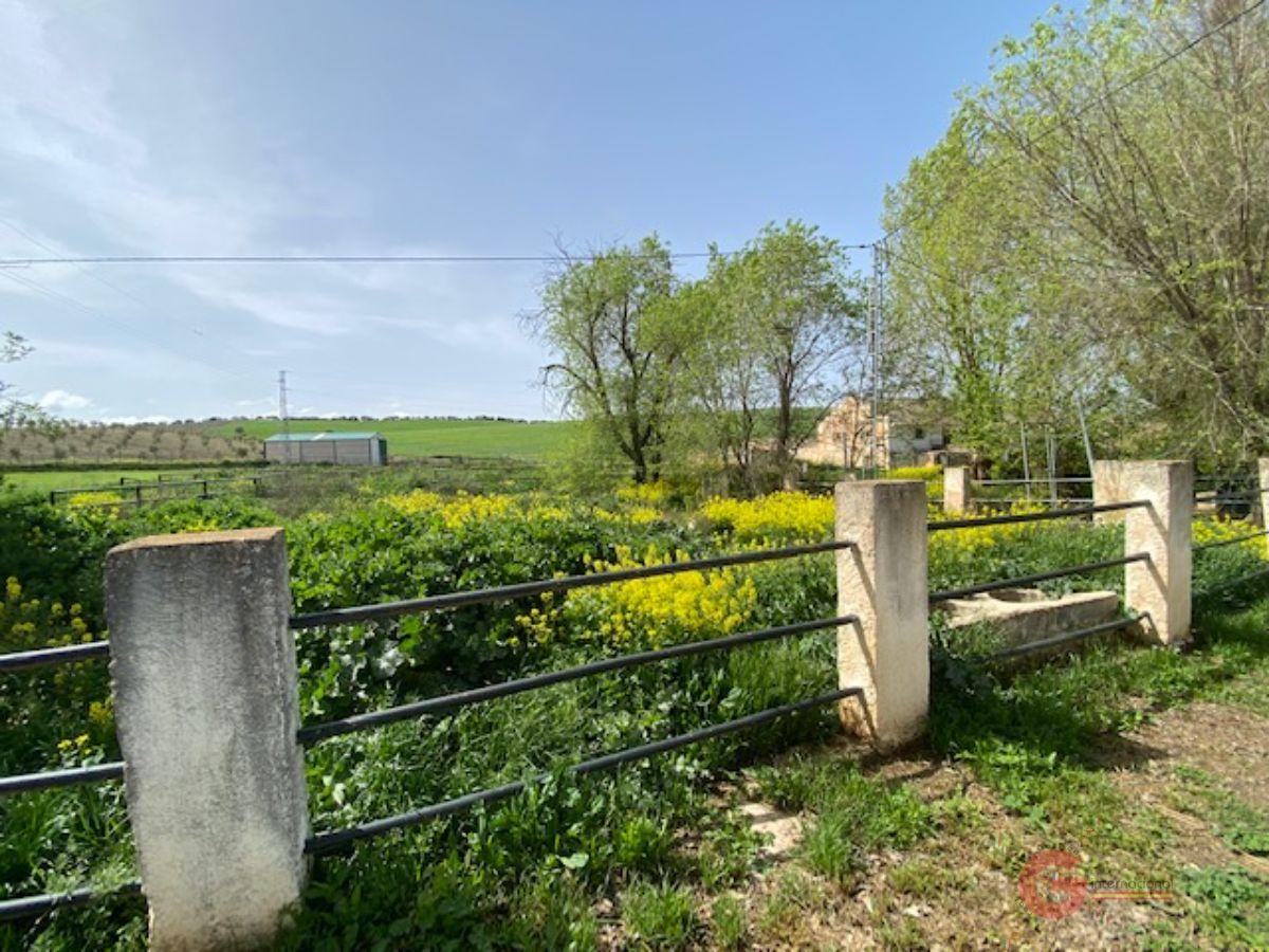 For sale of rural property in Iznalloz