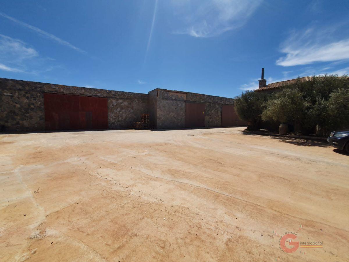 Venta de finca rústica en Baza