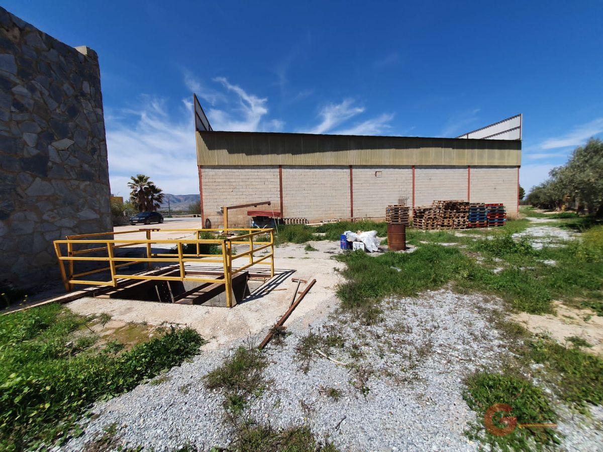 For sale of rural property in Baza