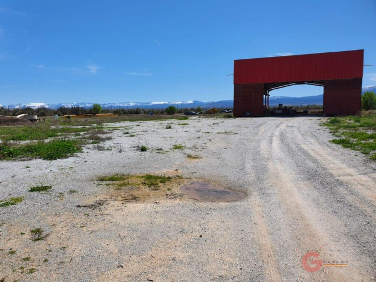 Venta de finca rústica en Baza