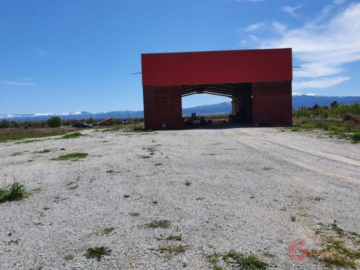 Venta de finca rústica en Baza