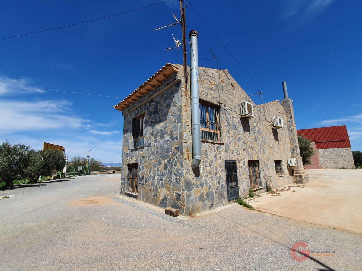 For sale of rural property in Baza