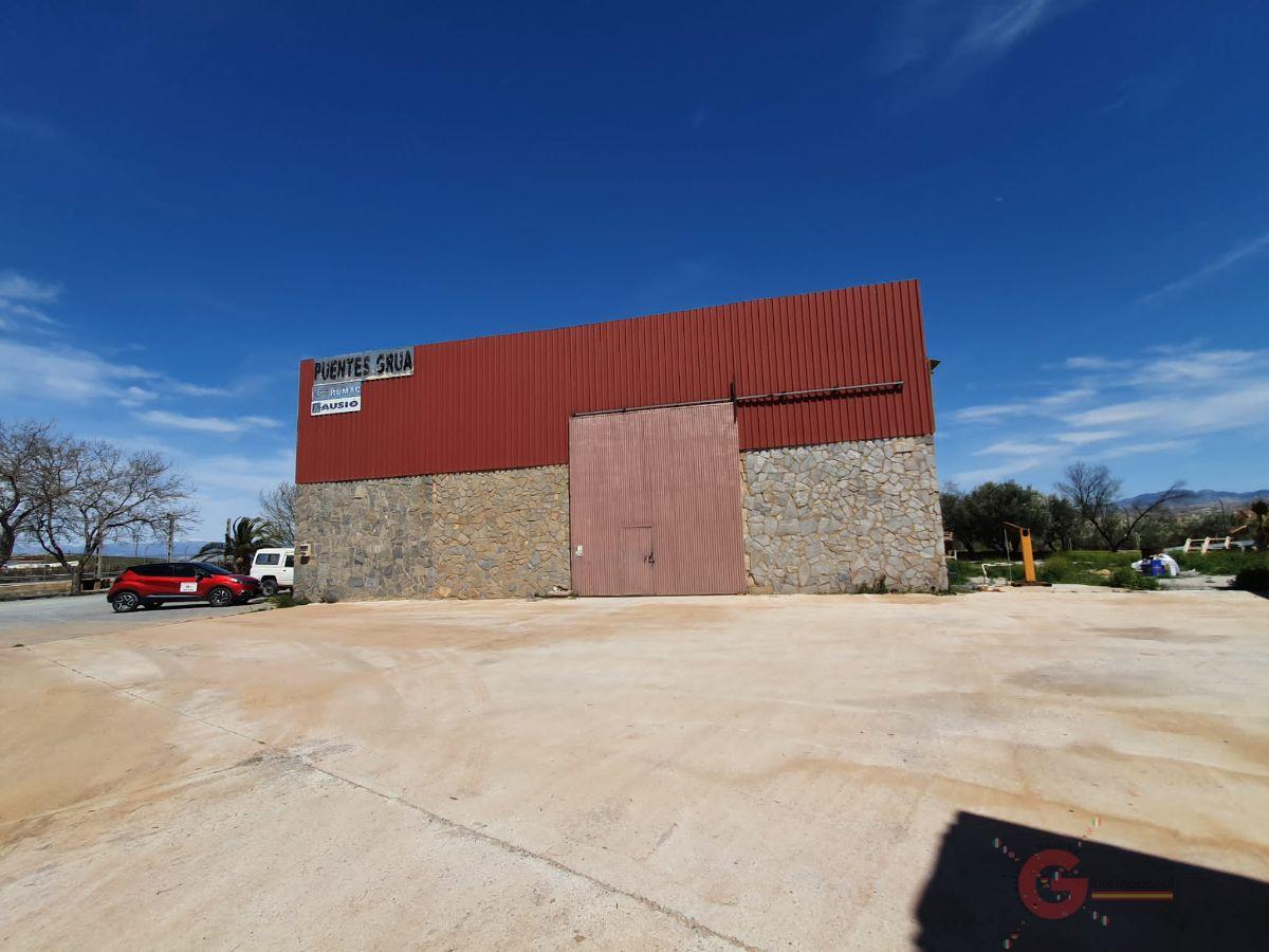 For sale of rural property in Baza