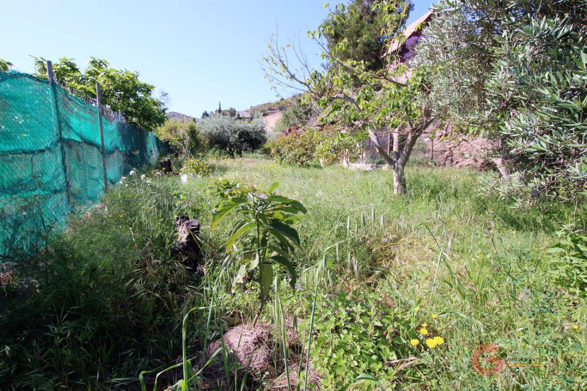 For sale of rural property in Motril