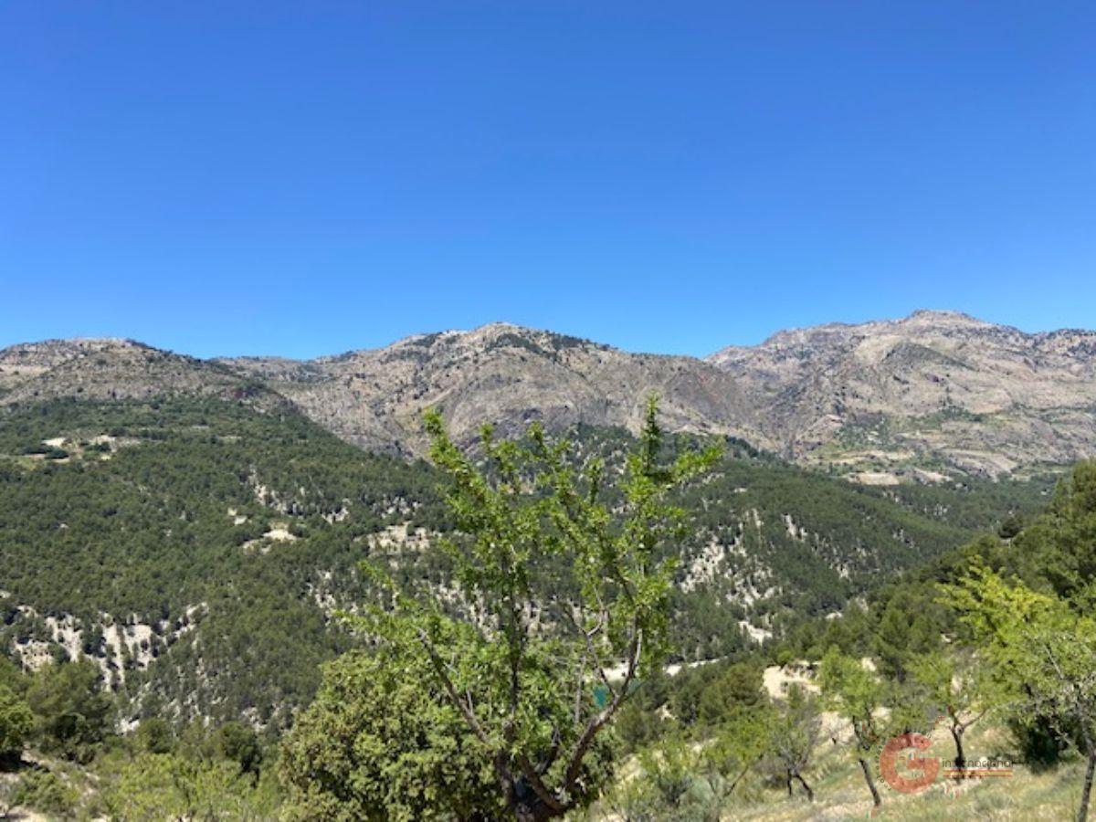 Vendita di proprietà rurale in Castril