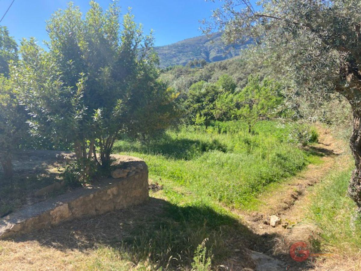 Venta de finca rústica en Lanjarón