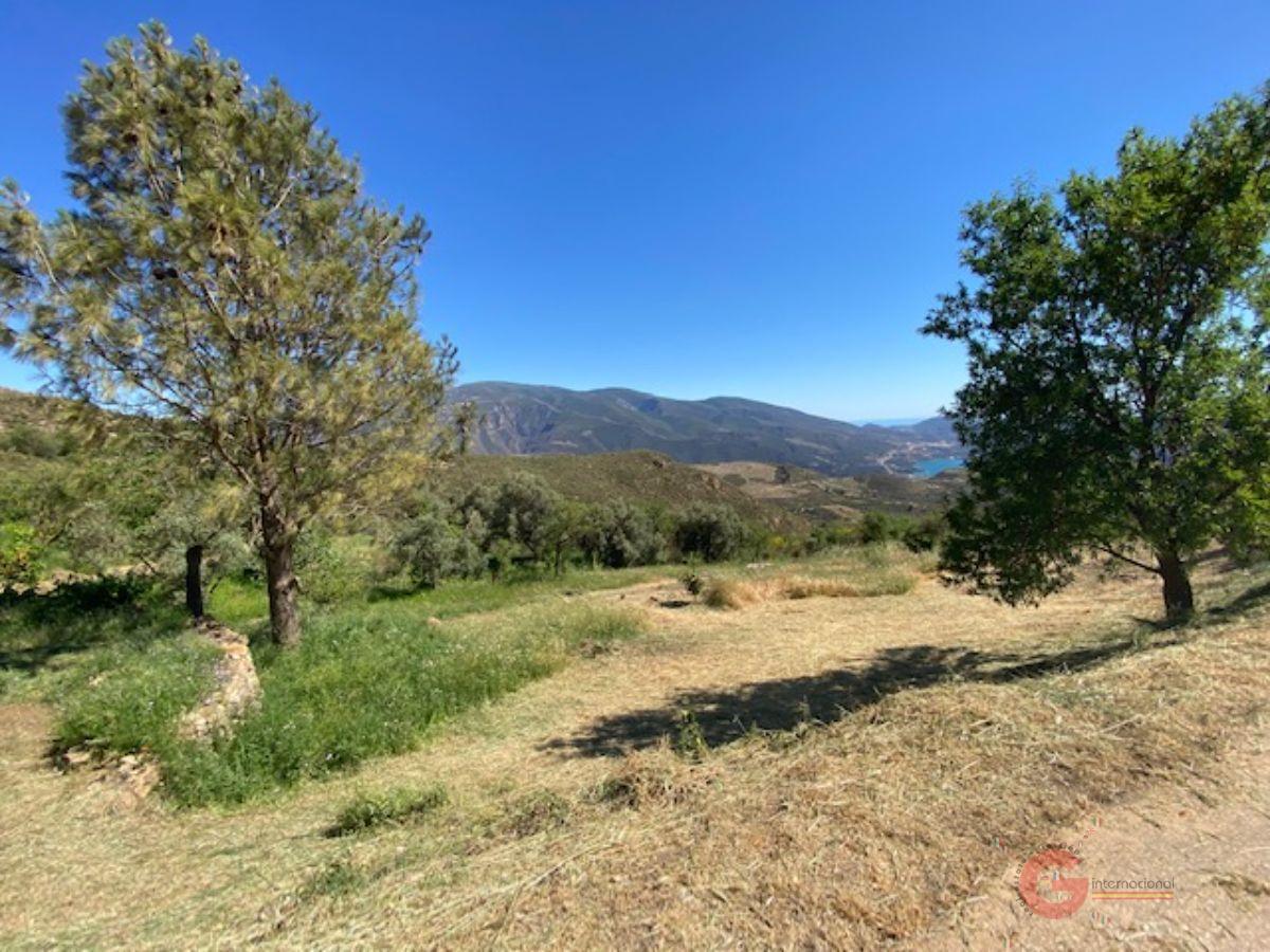 Venta de finca rústica en Lanjarón