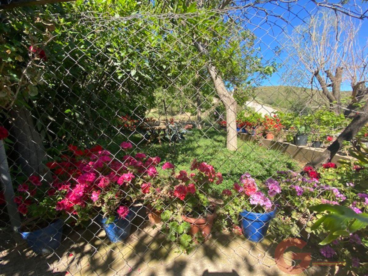 Venta de finca rústica en Lanjarón Venta de finca rústica en Lanjarón