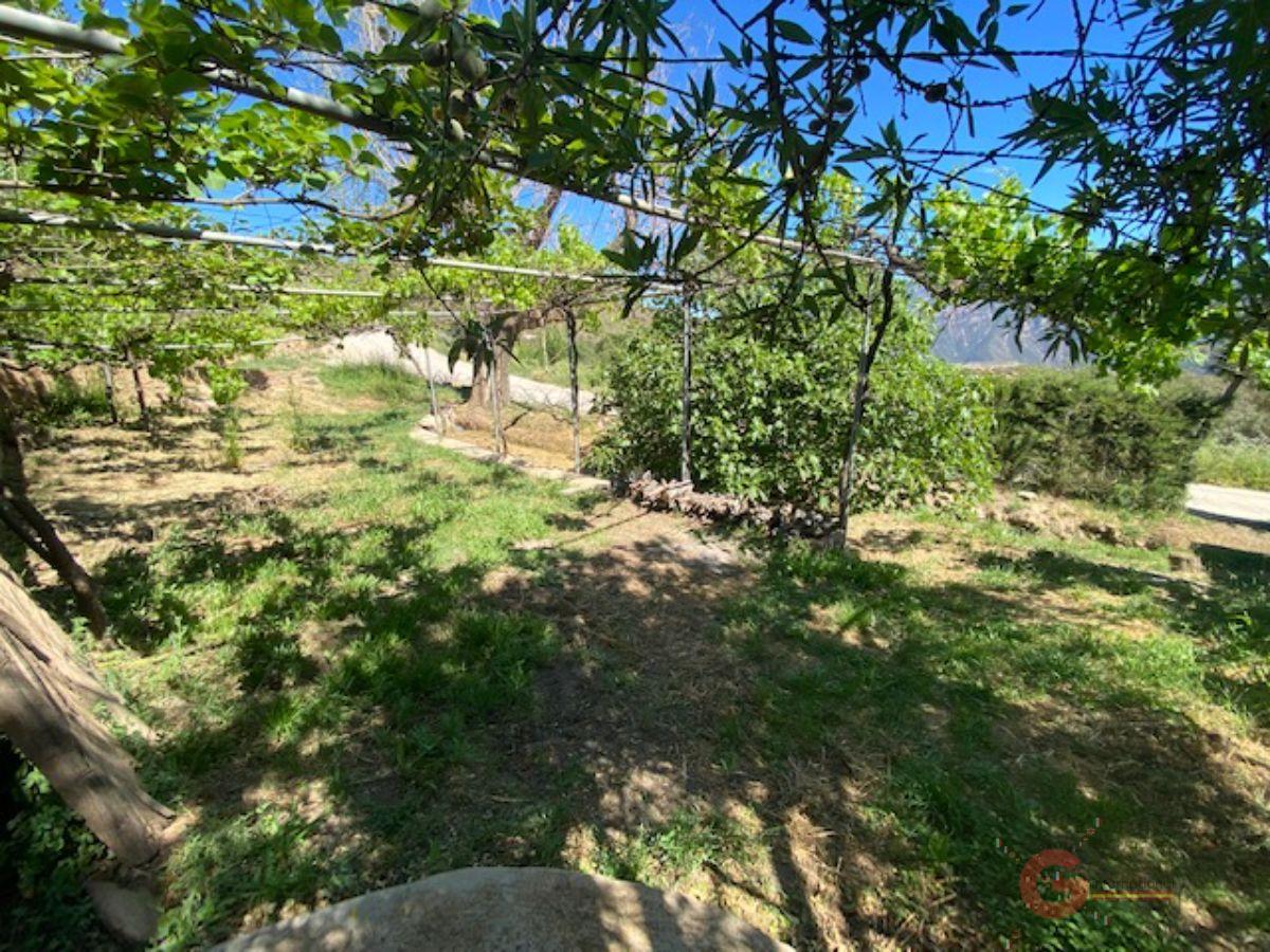 Venta de finca rústica en Lanjarón Venta de finca rústica en Lanjarón