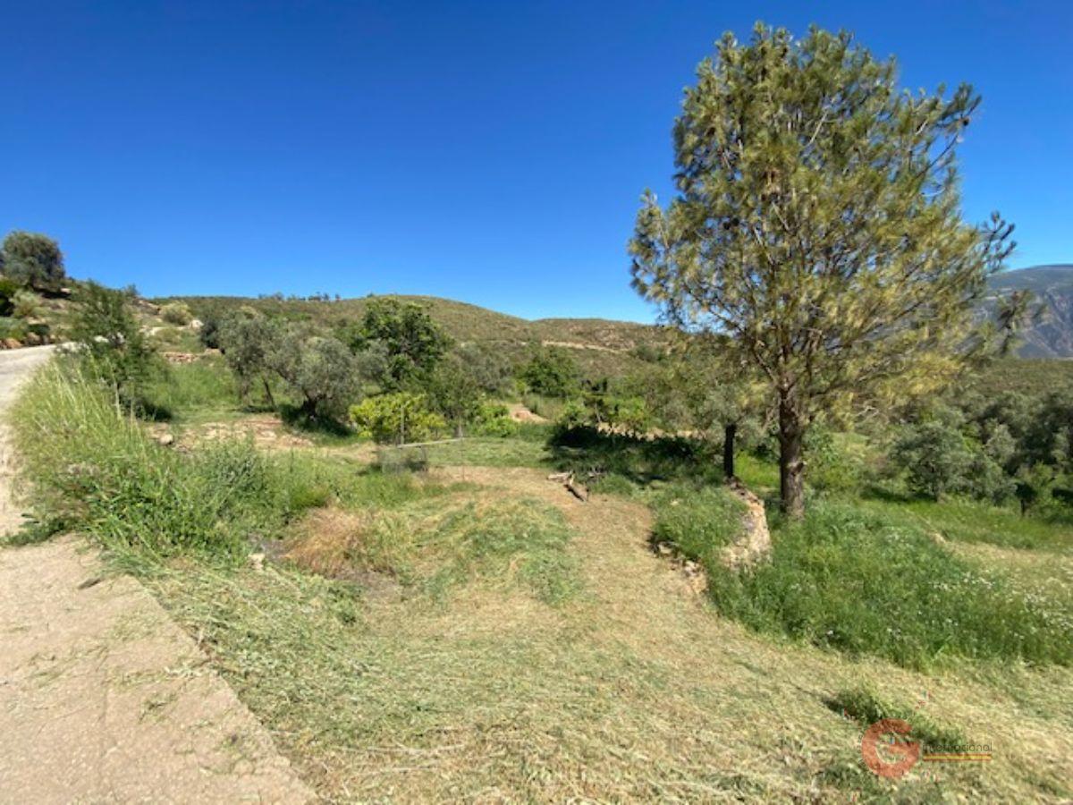 For sale of rural property in Lanjarón