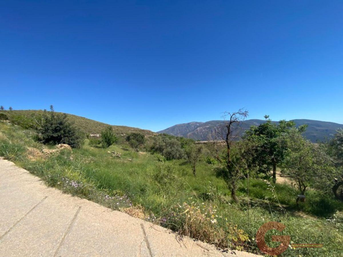 Venta de finca rústica en Lanjarón Venta de finca rústica en Lanjarón