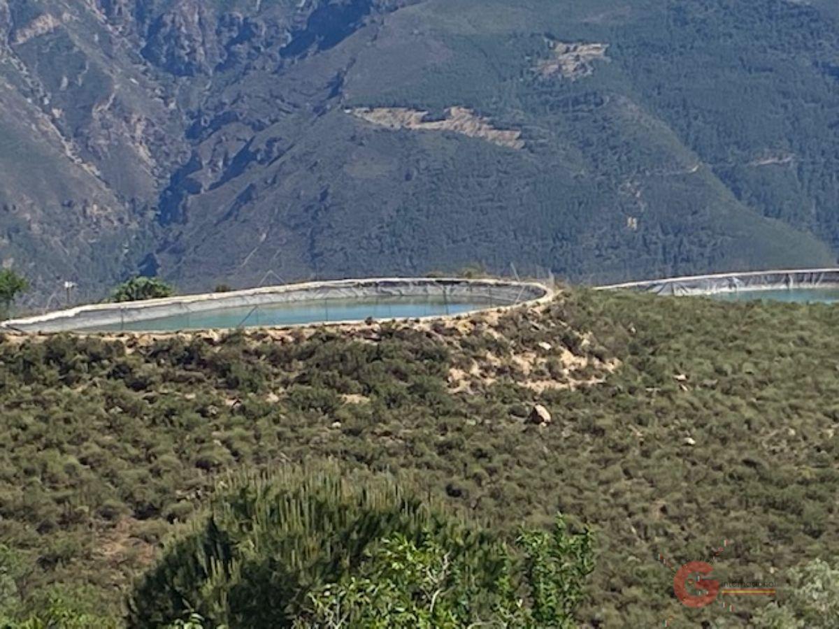 Vendita di proprietà rurale in Lanjarón