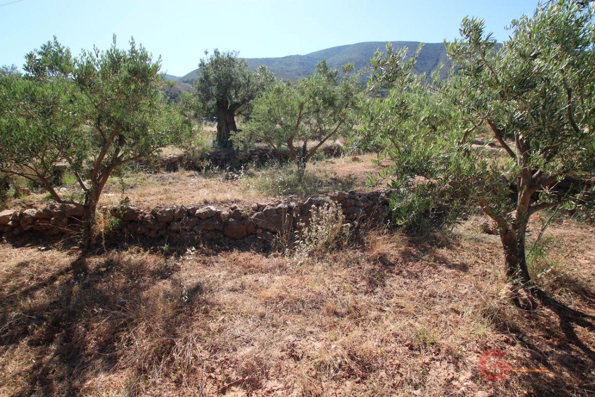 For sale of land in Vélez de Benaudalla