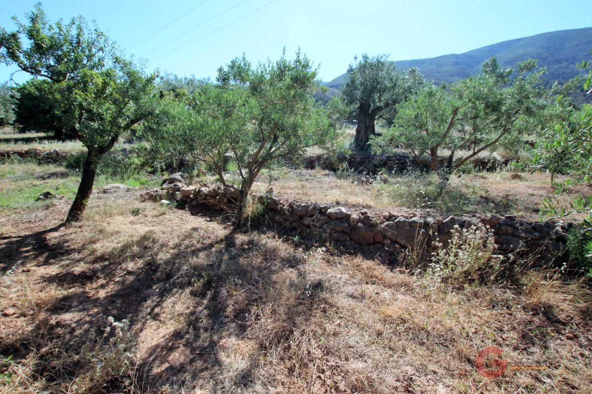 Vendita di terreno in Vélez de Benaudalla