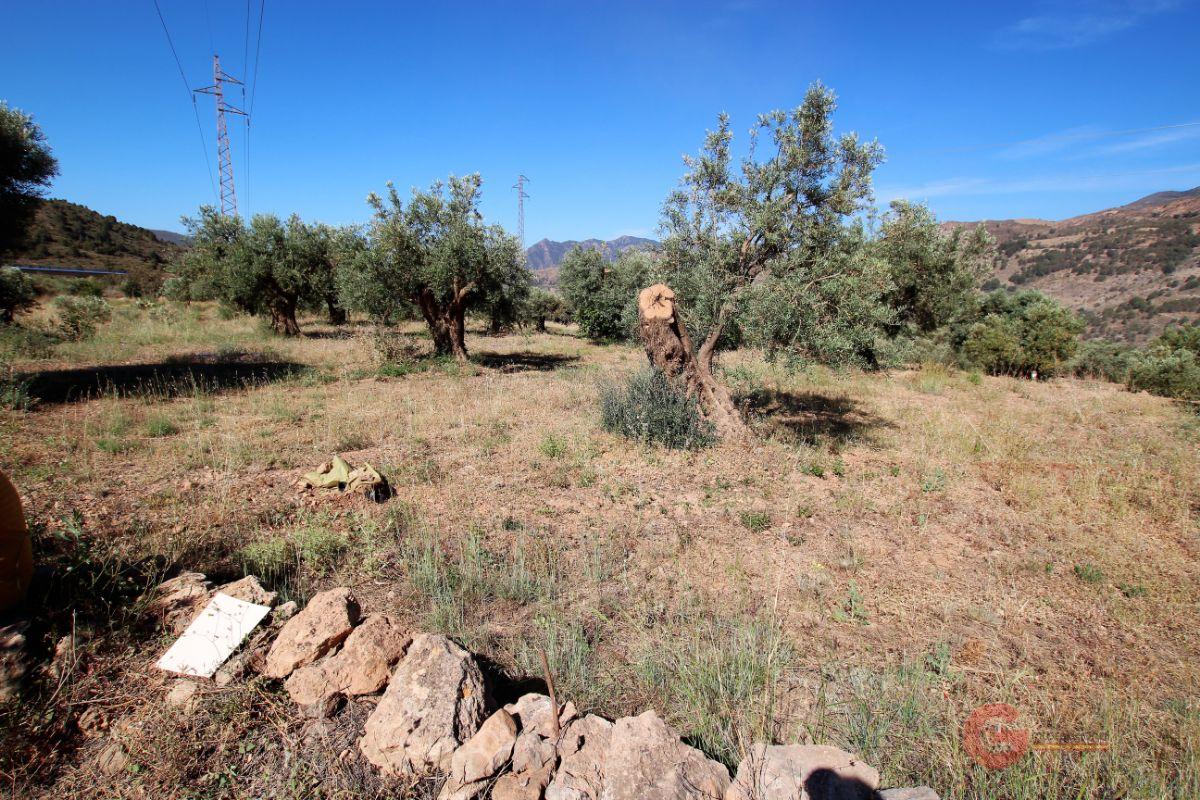 For sale of land in Vélez de Benaudalla