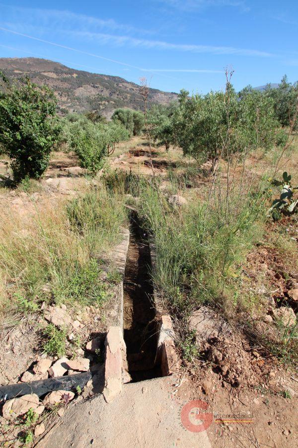 Vente de terrain dans Vélez de Benaudalla