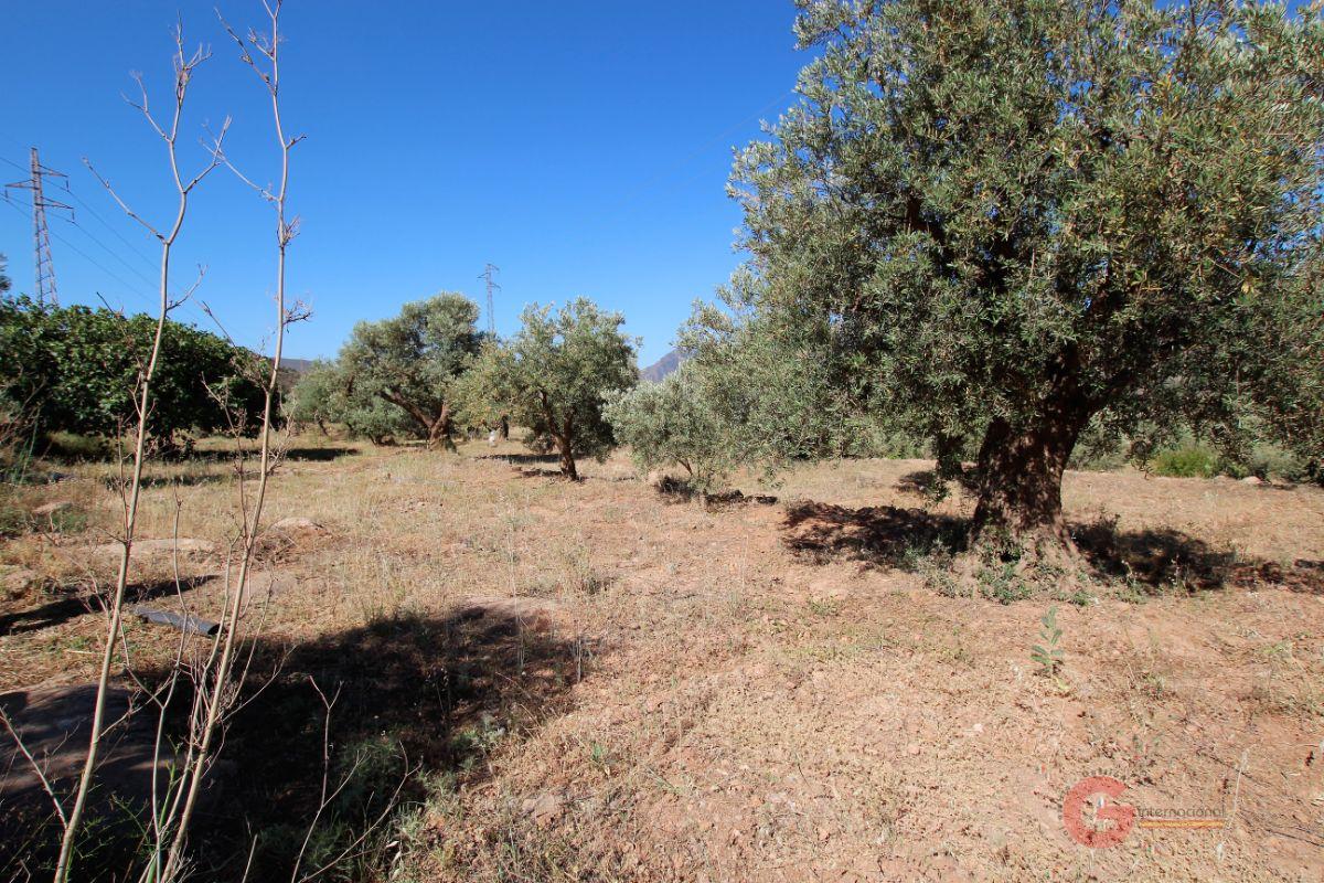 Vendita di terreno in Vélez de Benaudalla
