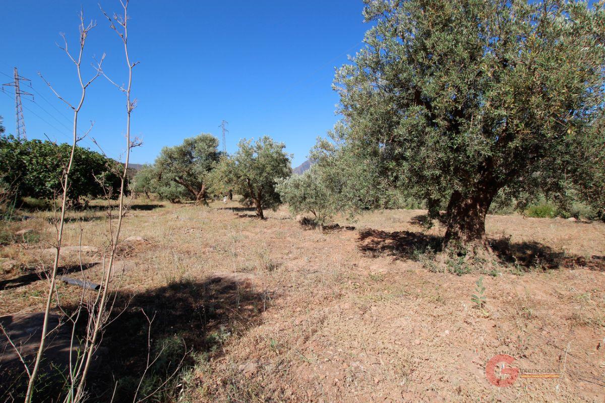 For sale of land in Vélez de Benaudalla