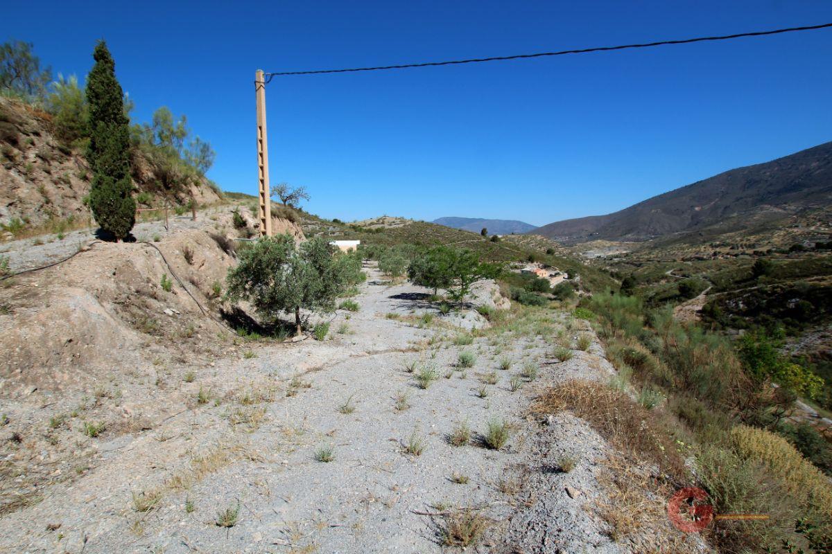 Venta de finca rústica en Vélez de Benaudalla