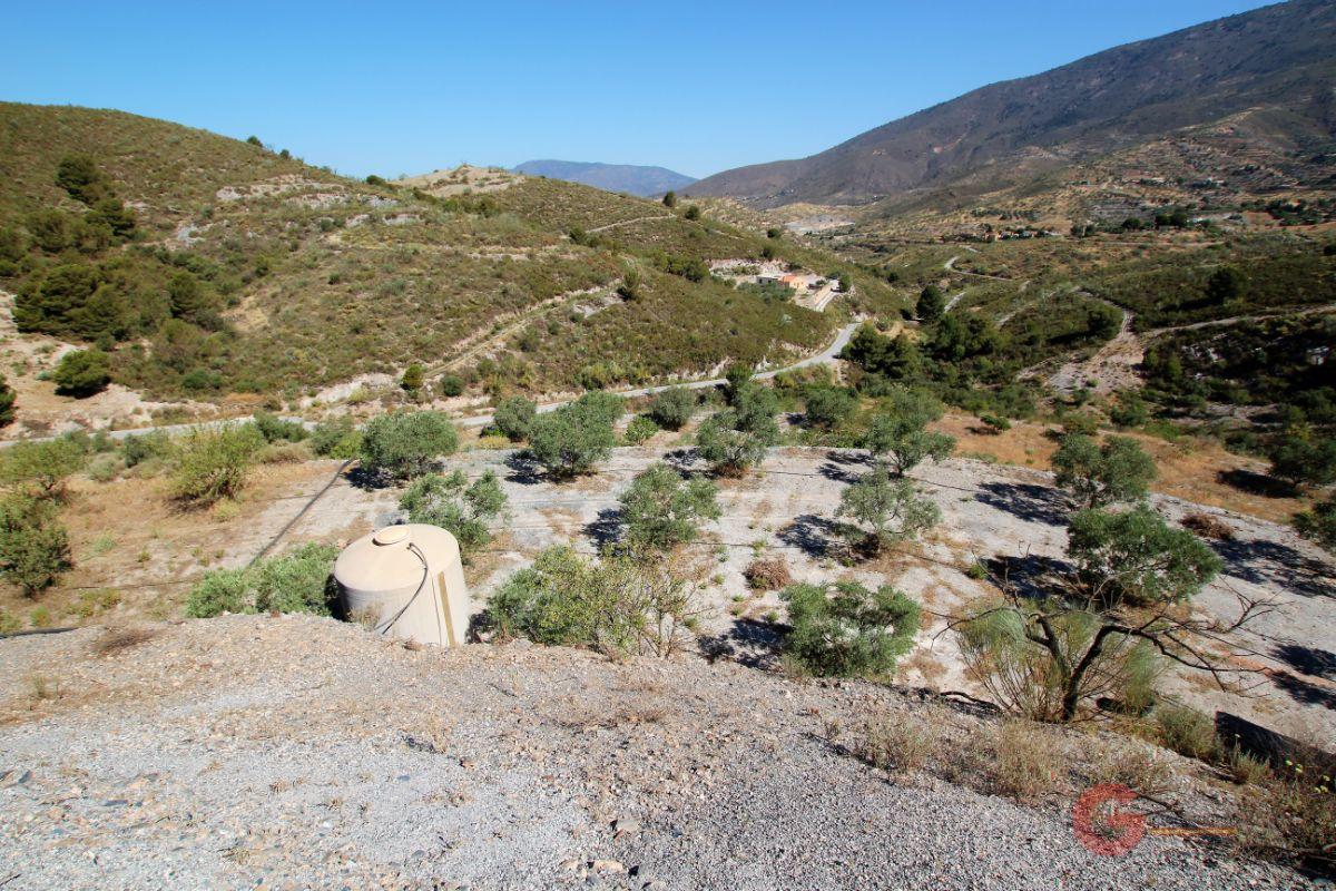 Venta de finca rústica en Vélez de Benaudalla