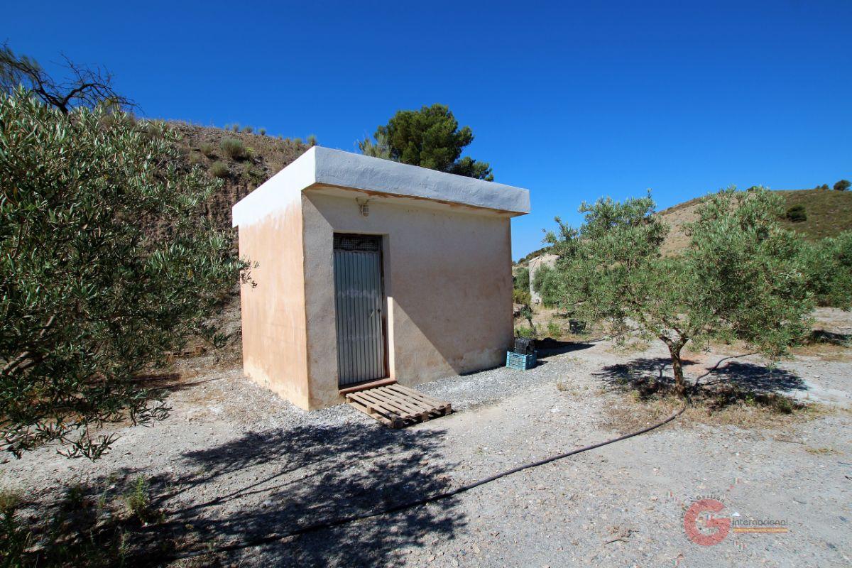 For sale of rural property in Vélez de Benaudalla