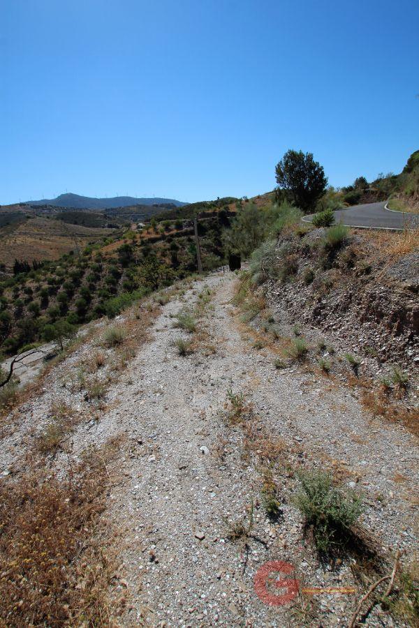 Venta de finca rústica en Vélez de Benaudalla