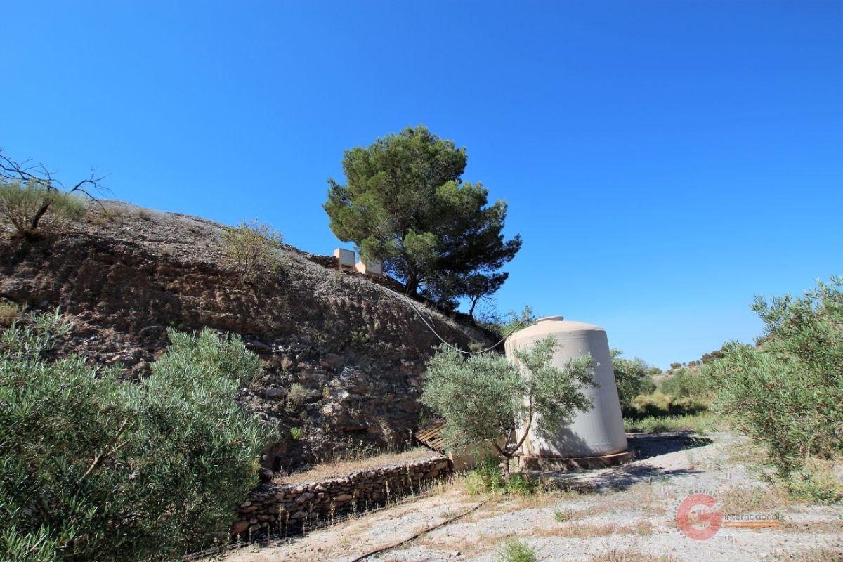 For sale of rural property in Vélez de Benaudalla