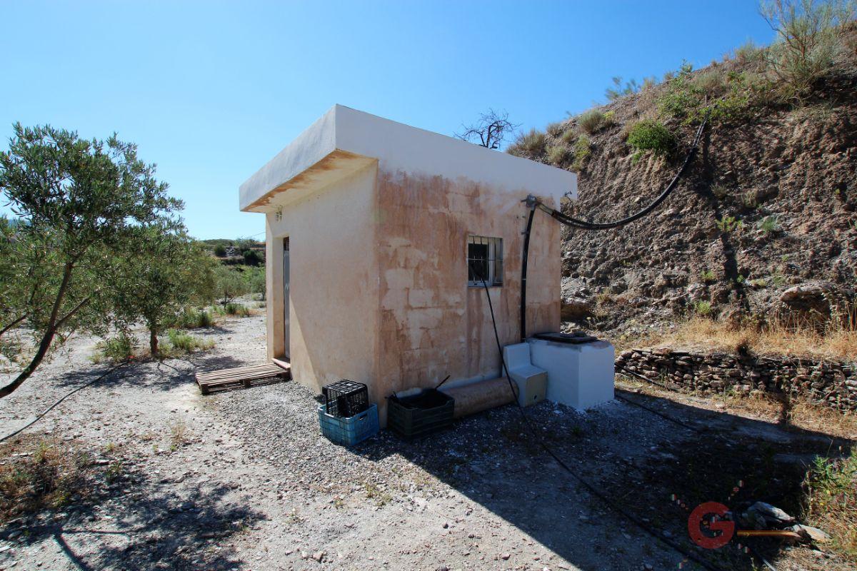 For sale of rural property in Vélez de Benaudalla