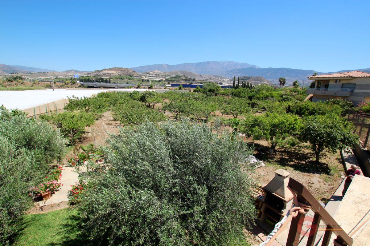 For sale of rural property in Motril