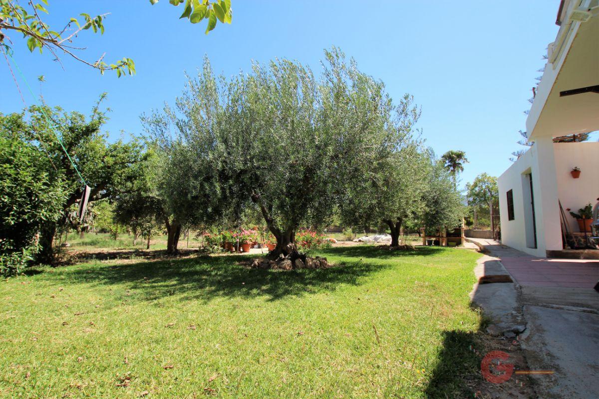 Venta de finca rústica en Motril