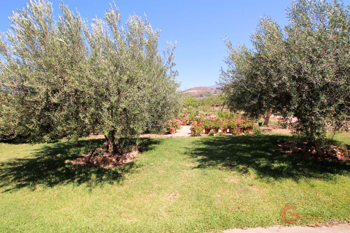 For sale of rural property in Motril