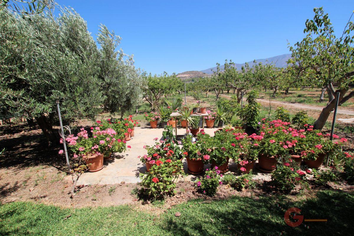 Venta de finca rústica en Motril