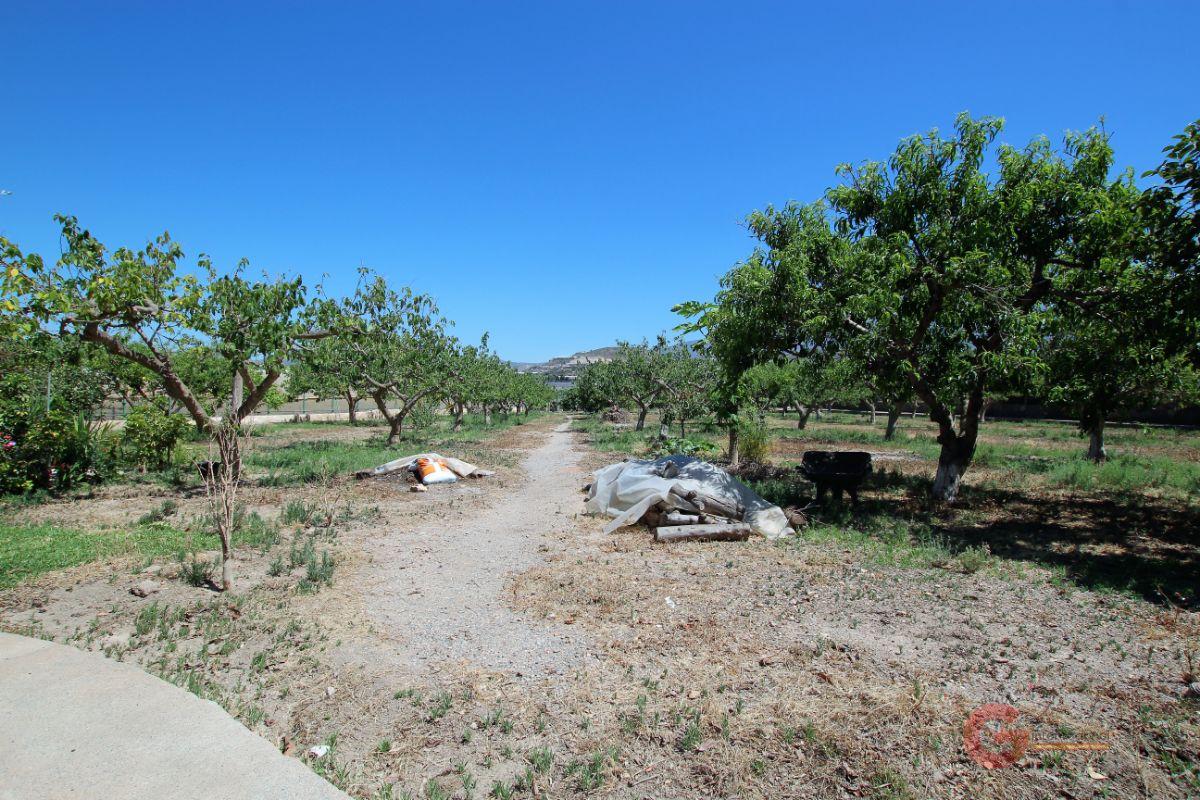 Venta de finca rústica en Motril