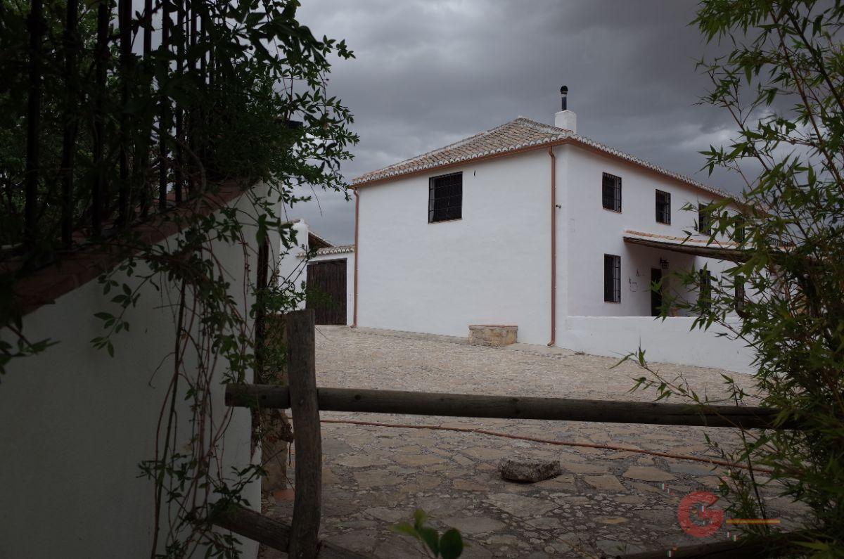 For sale of rural property in Pedro Martínez