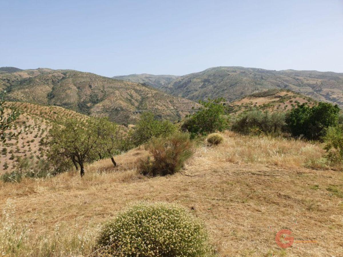 For sale of rural property in Lobras