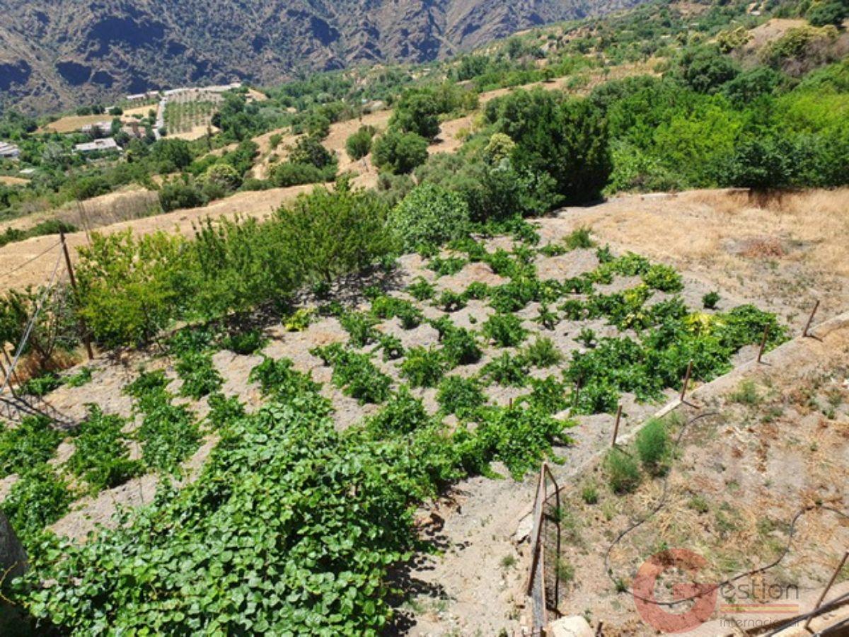 Venta de edificio en Pitres Venta de edificio en Pitres